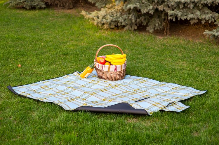 Плед для пикника Sleepy Picnic Light Blue Плед для пикника Sleepy Picnic Light BlueИнтерьер<br>Плед для пикника Sleepy Picnic Light Blue<br>Размер: 130 х 150 см.; Объем: None; Материал: Акрил; Цвет: None;