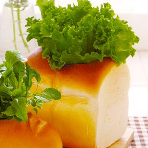 Набор для выращивания салата Green Bread булка Набор для выращивания салата Green Bread булкаДекор и аксессуары для сада и дачи<br>Буханка хлеба Сочный салат-латук<br>Размер: 9,5 х 10 х 7,5 см; Объем: None; Материал: Керамика; Цвет: None;
